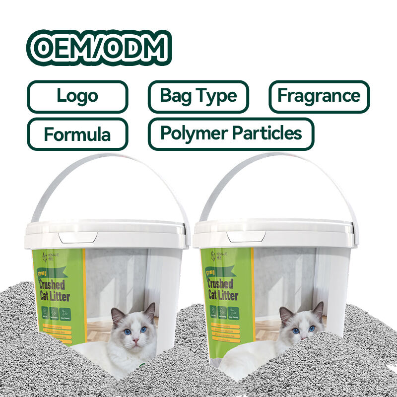 Convenience of Plant-Based Cat Litter for Home Cleaning