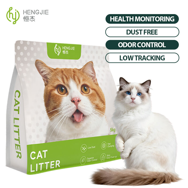 Komprehensibong Suporta para sa Mga Kliyente at Teknikong Eksperto