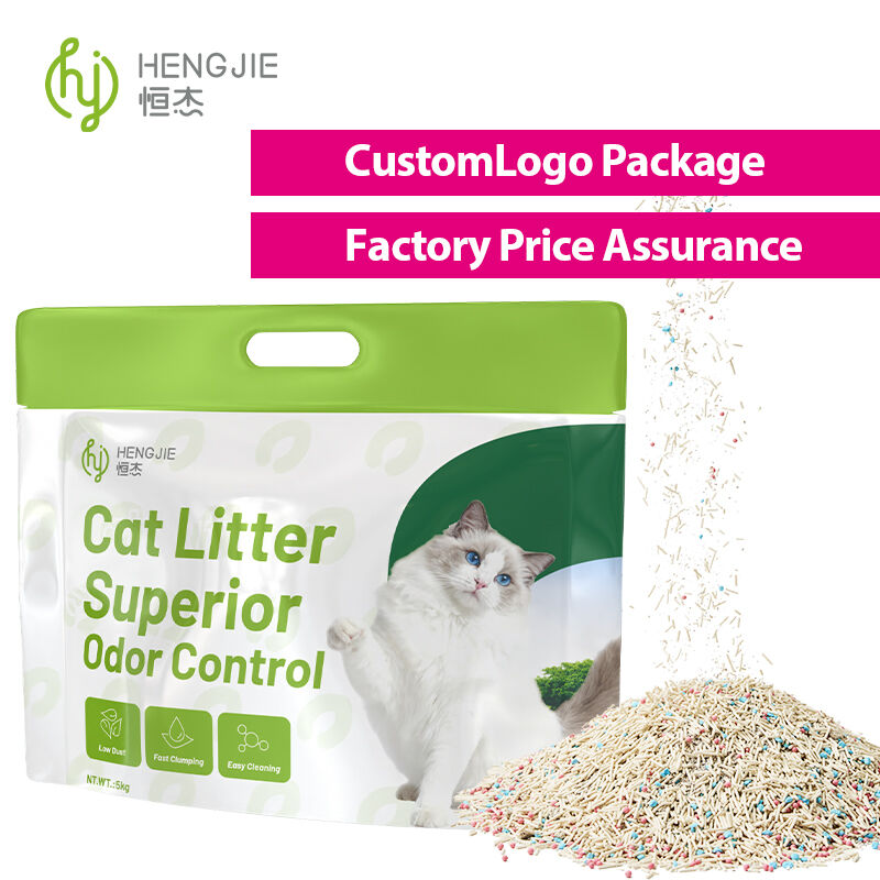 Mixed Cat Litter Benefits for Home Aesthetics and Cleanliness