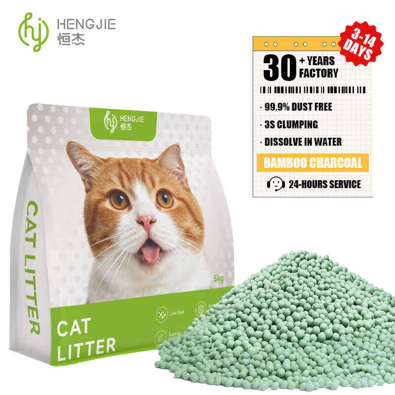 Environmental Sustainability and Eco-Friendly Innovation