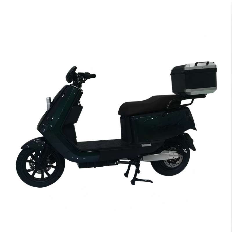 성인용 전기 스쿠터