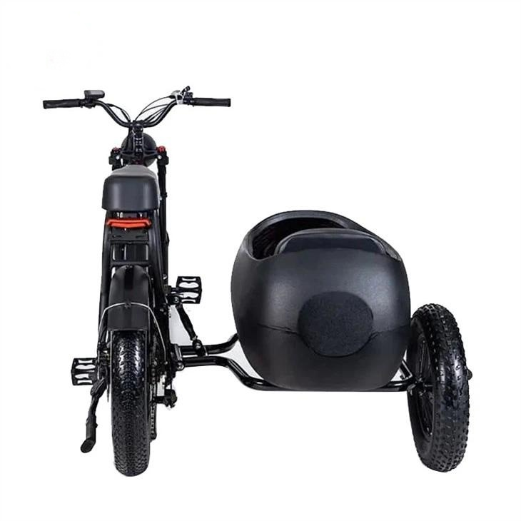 Trójkołowy rower pasażerski elektryczny SG-DB001