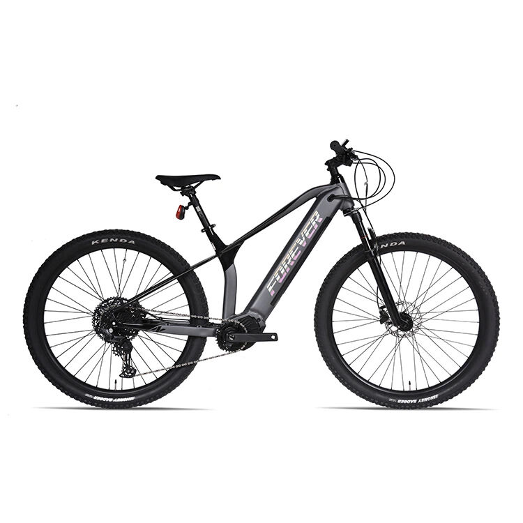 Mtb Ebike
