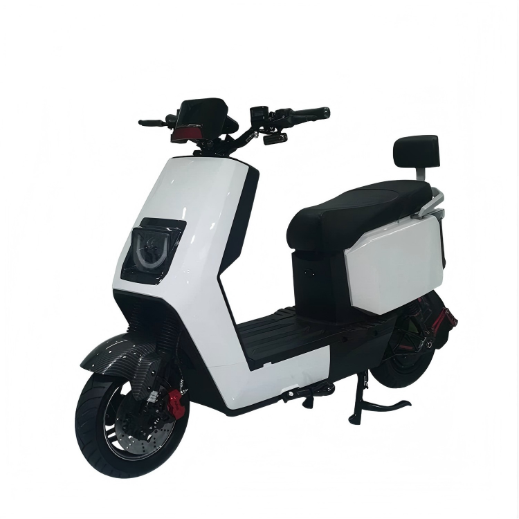 electric motorcycle scooter