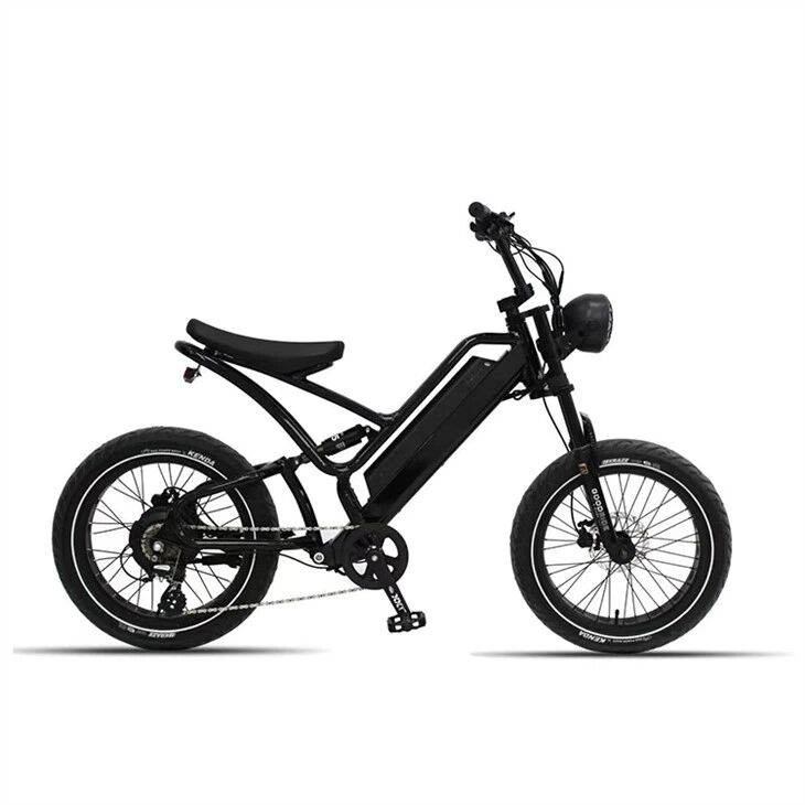 Leisure Ebike