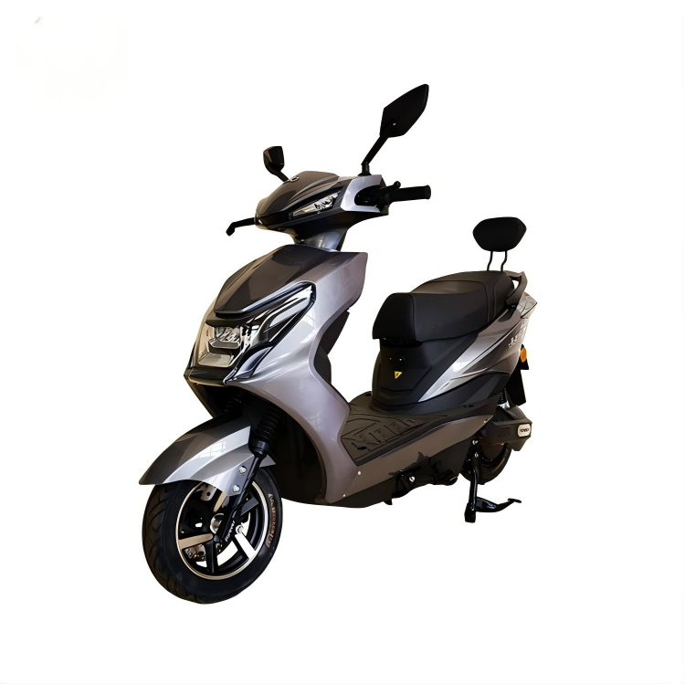 Electric Scooter Moped