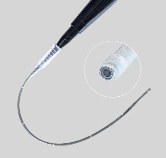 Infection Prevention