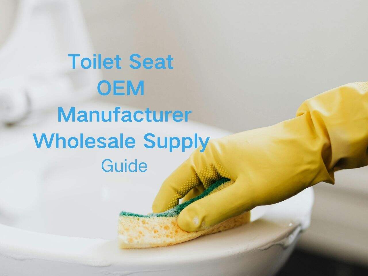Replacement Toilet Seat OEM Manufacturer & Wholesale Supply Guide