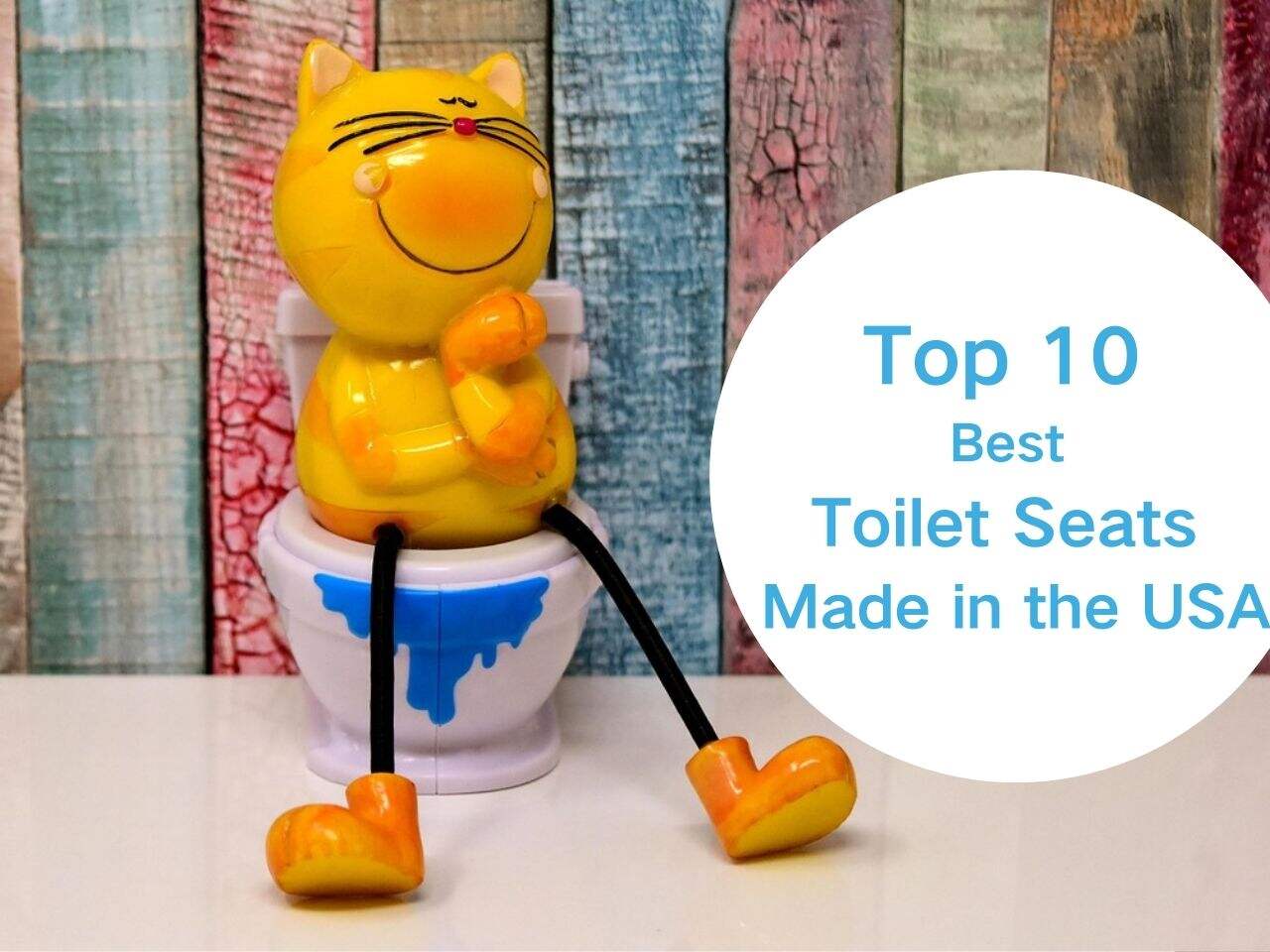 Top 10 Best Toilet Seats Made in the USA