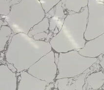 网纹白 3号 岗石  Calacatta white #3 细节图.jpg