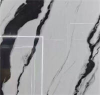 #2 Panda White Nano Glass 细节图.jpg