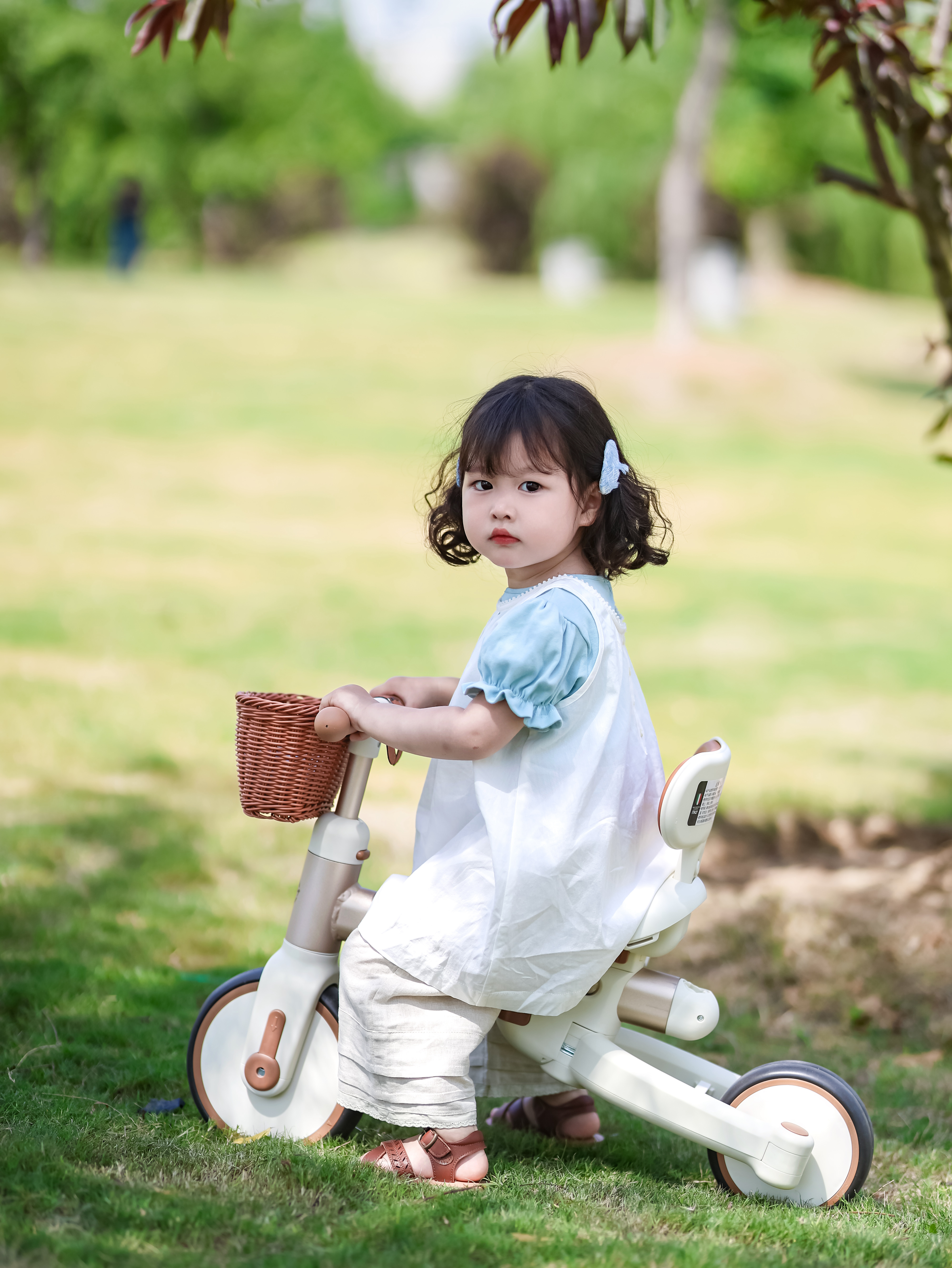 Applicazioni Versatili e Benefici Terapeutici