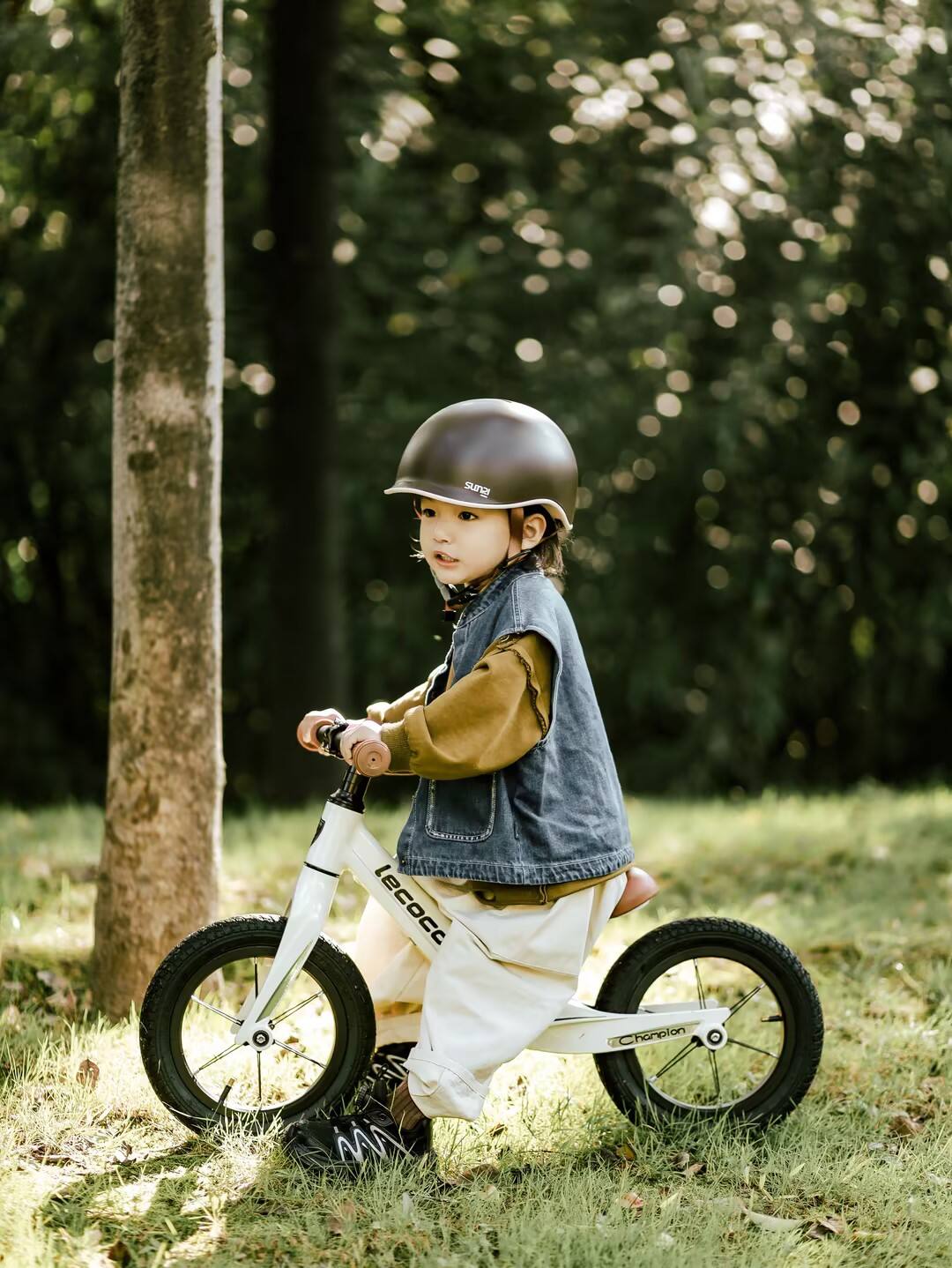 Advanced Safety Design Engineering