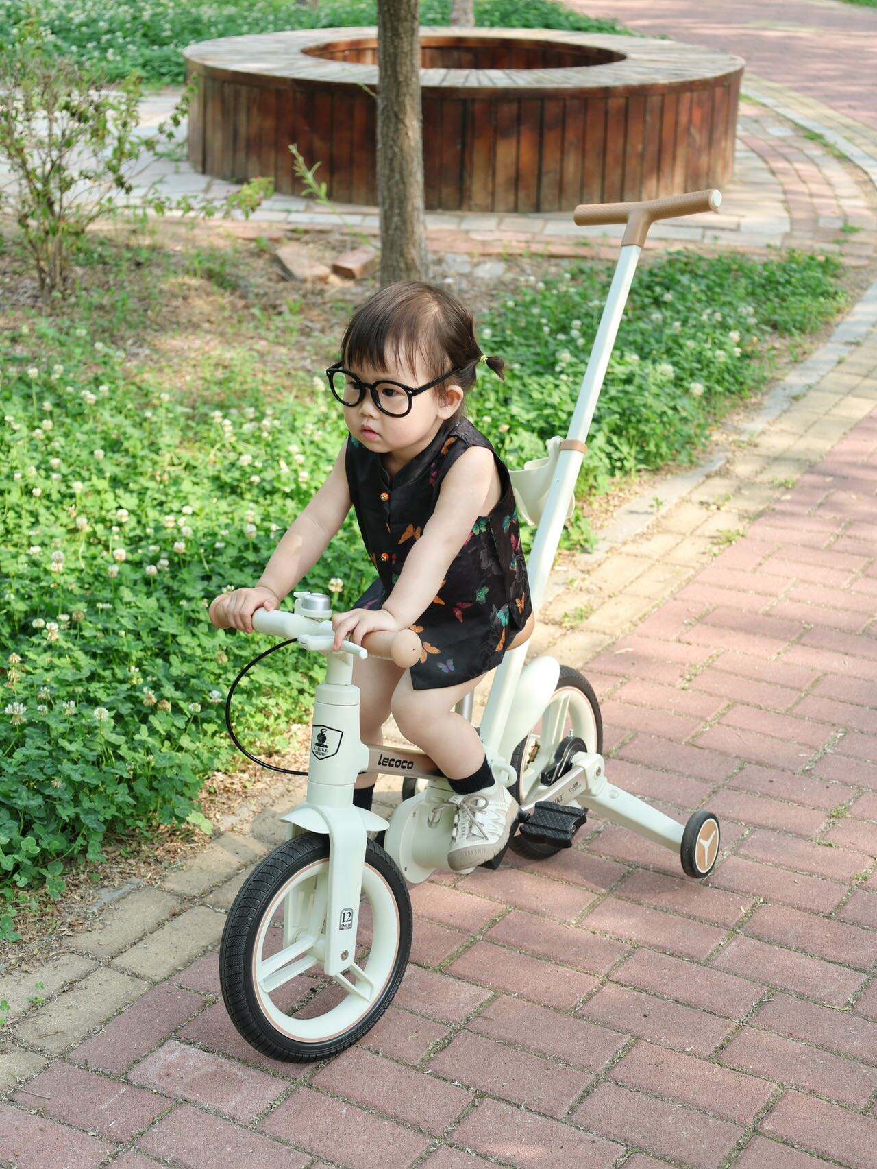 Advanced Electric Integration and Smart Technology