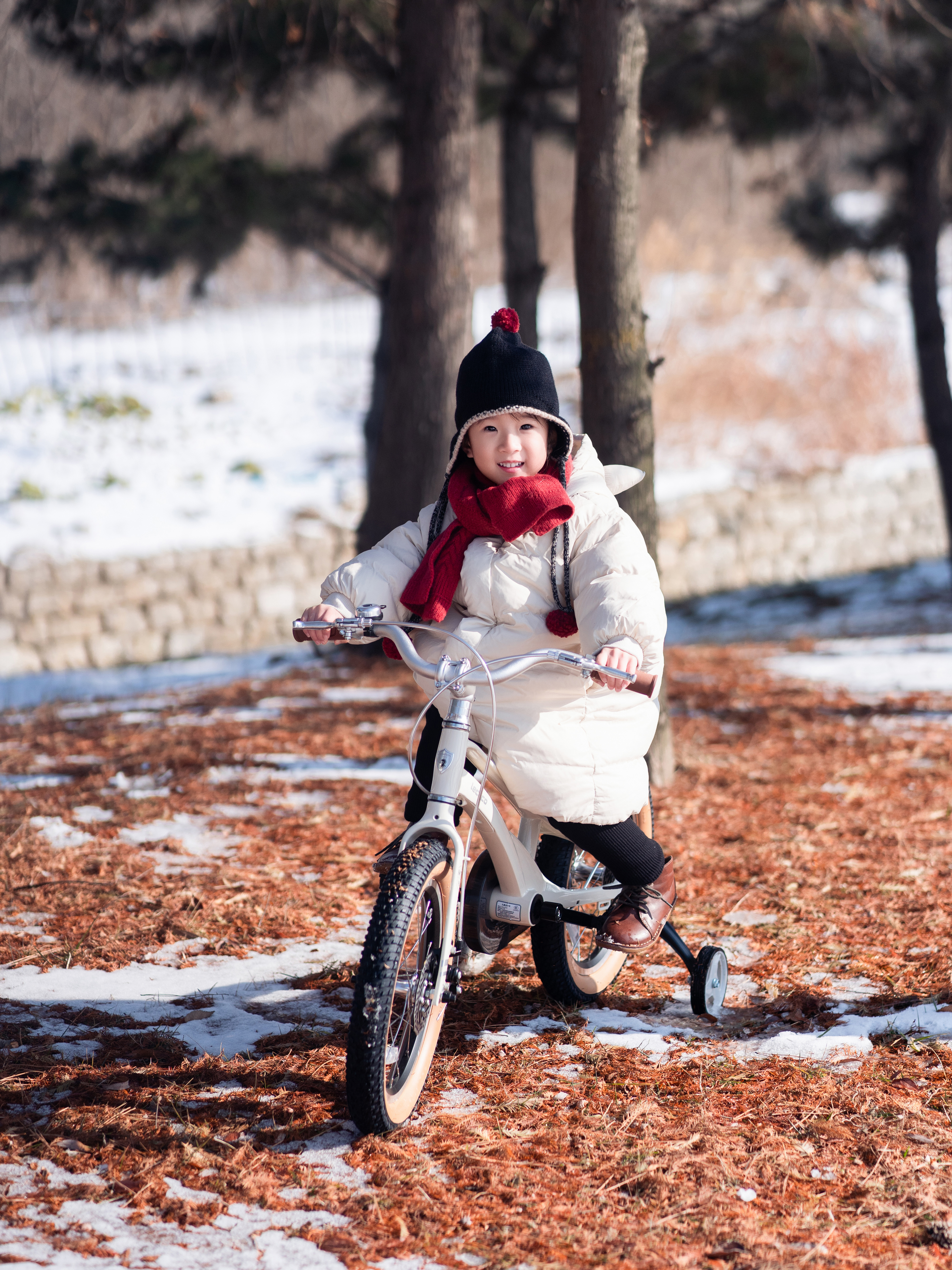 Gamme complète de produits et pipeline d'innovation