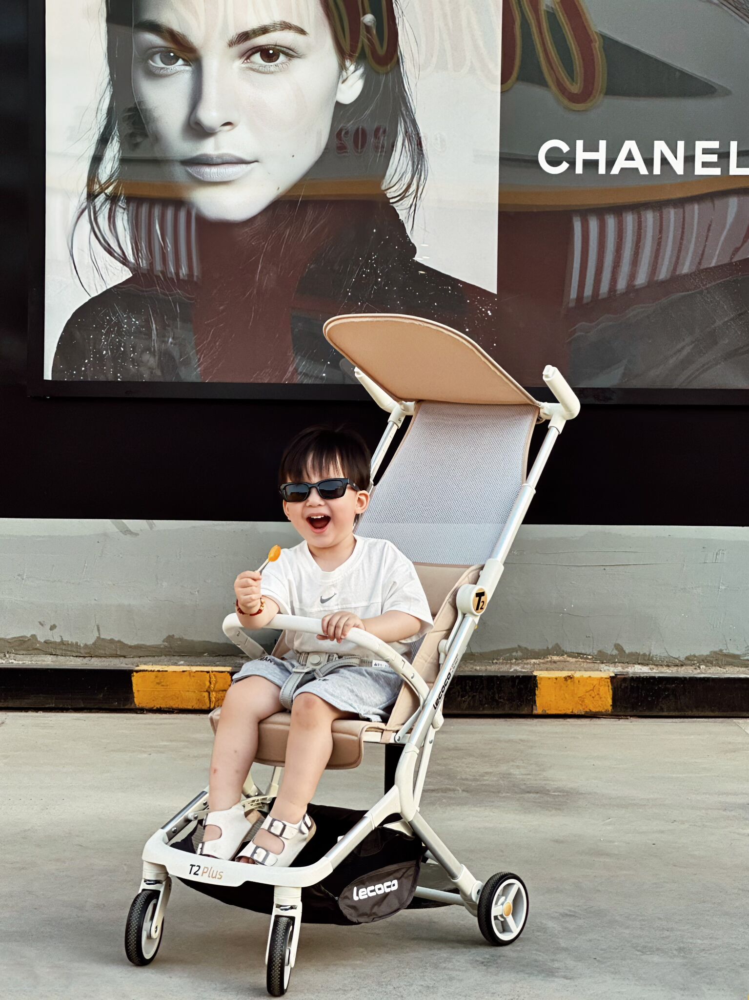 Advanced Safety Engineering and Compliance Standards