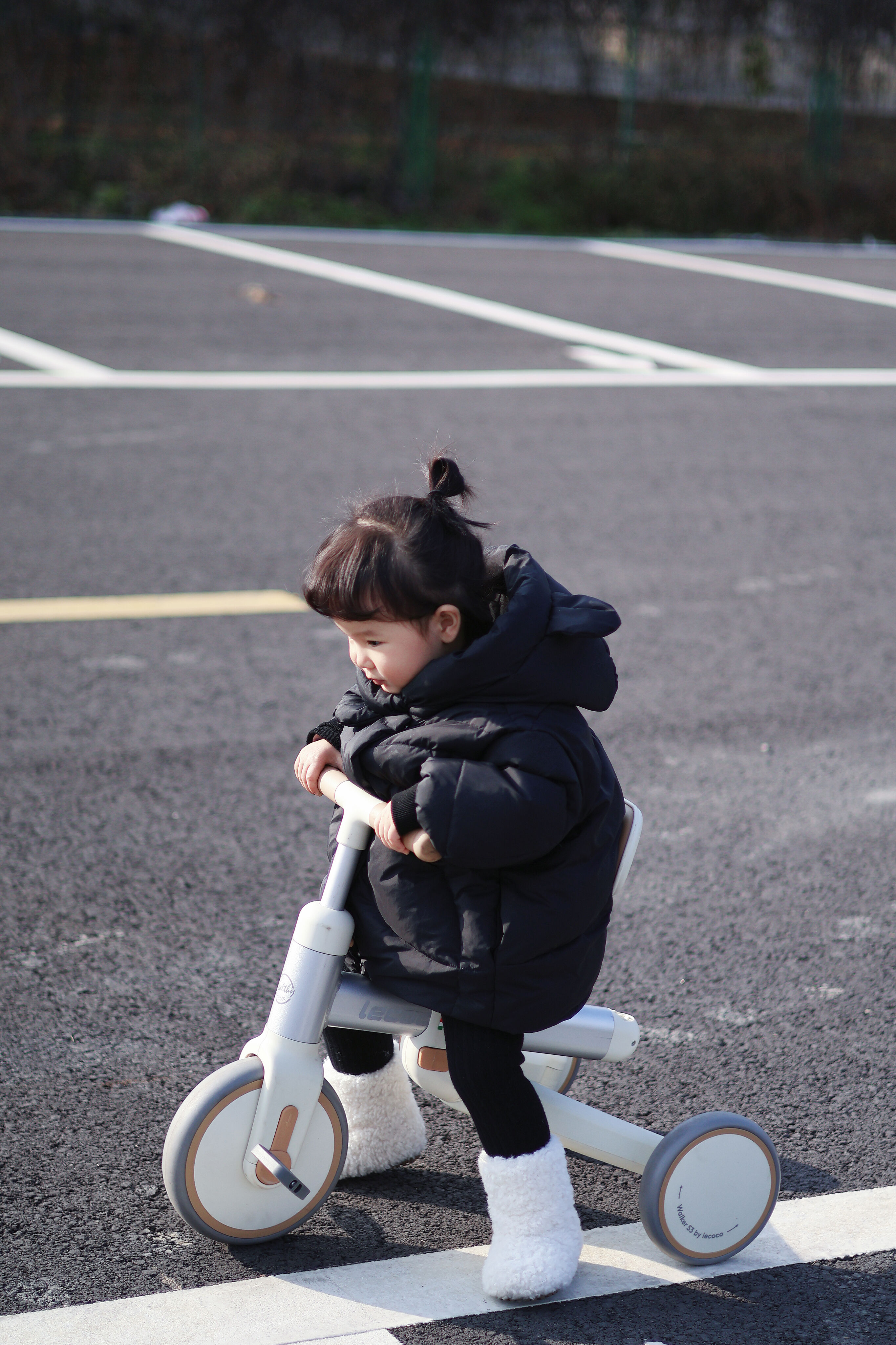 Langfristiger Wert durch anpassungsfähige Wachstumsmerkmale