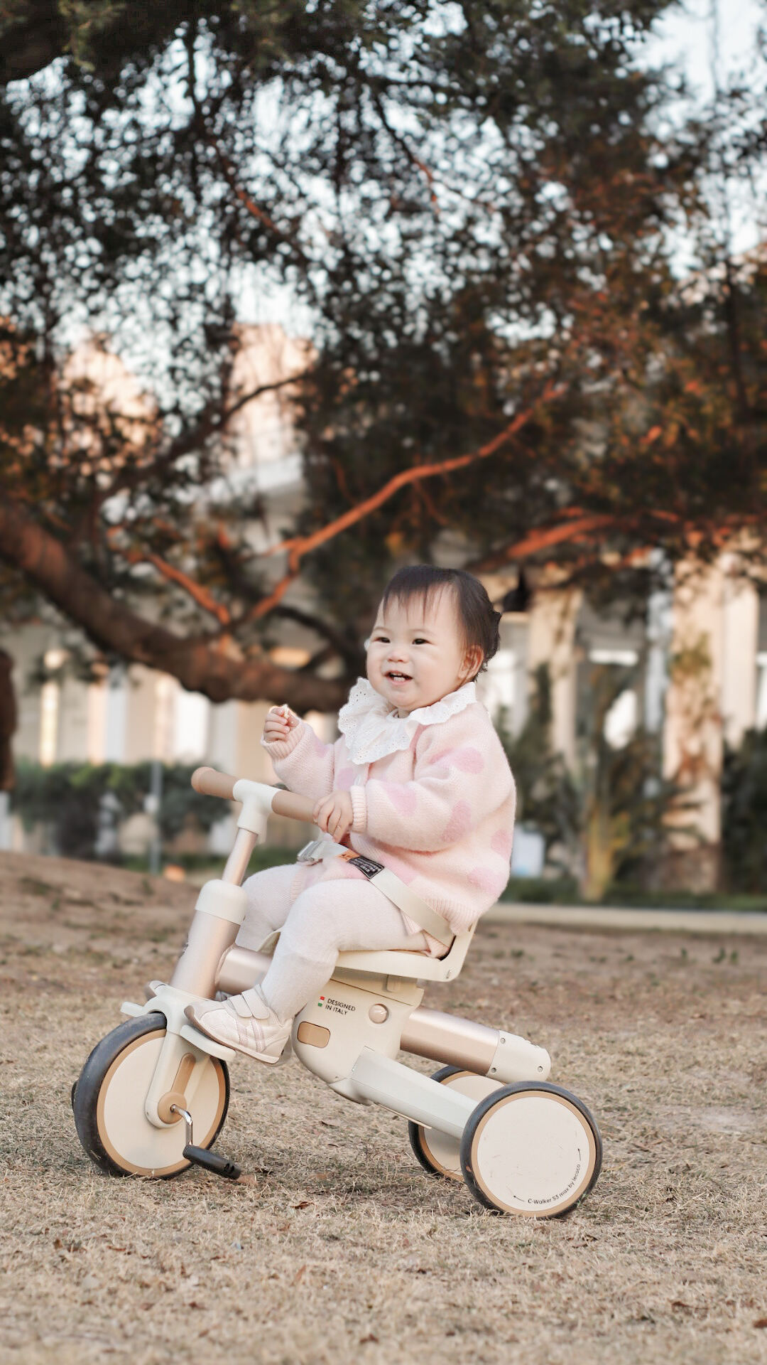 Design rivoluzionario salva-spazio con ingegneria premium