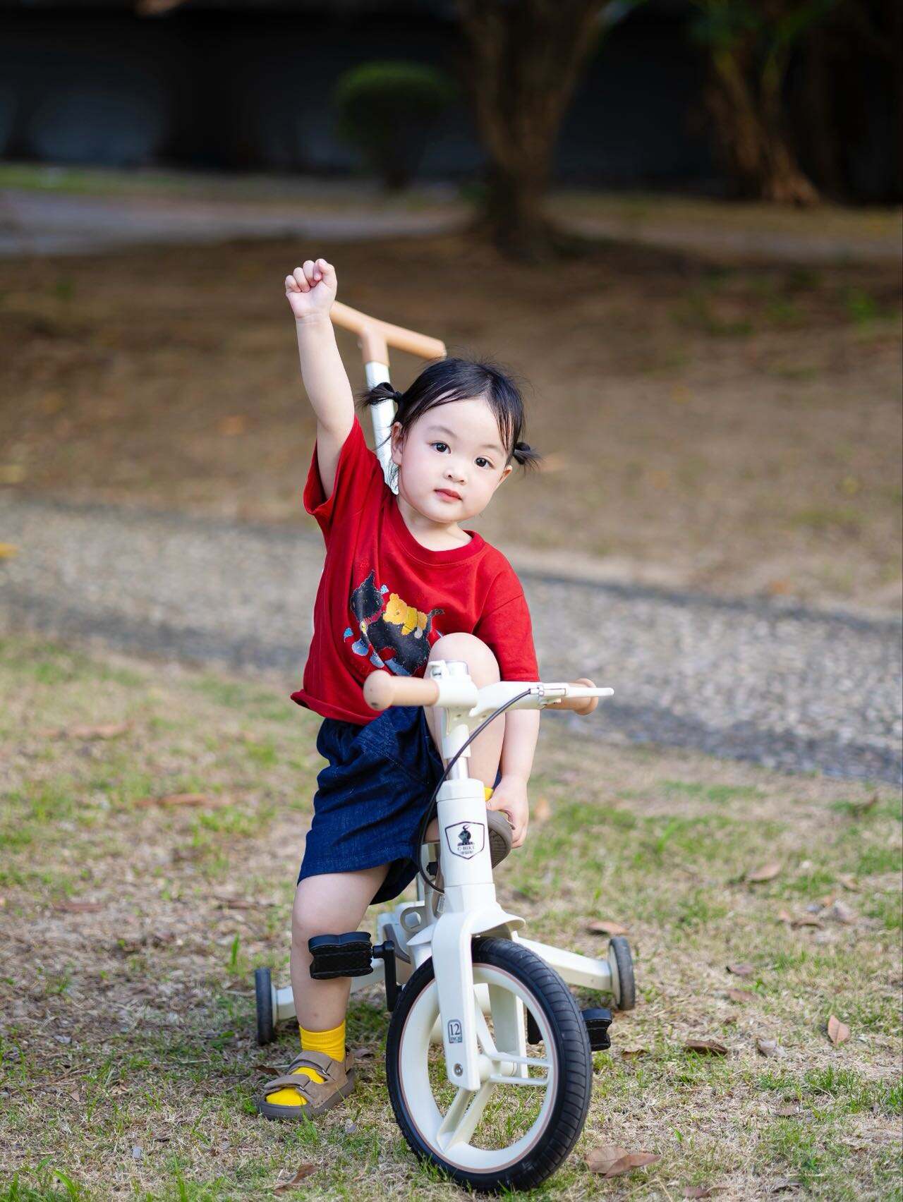 Comprehensive Customization and Design Flexibility