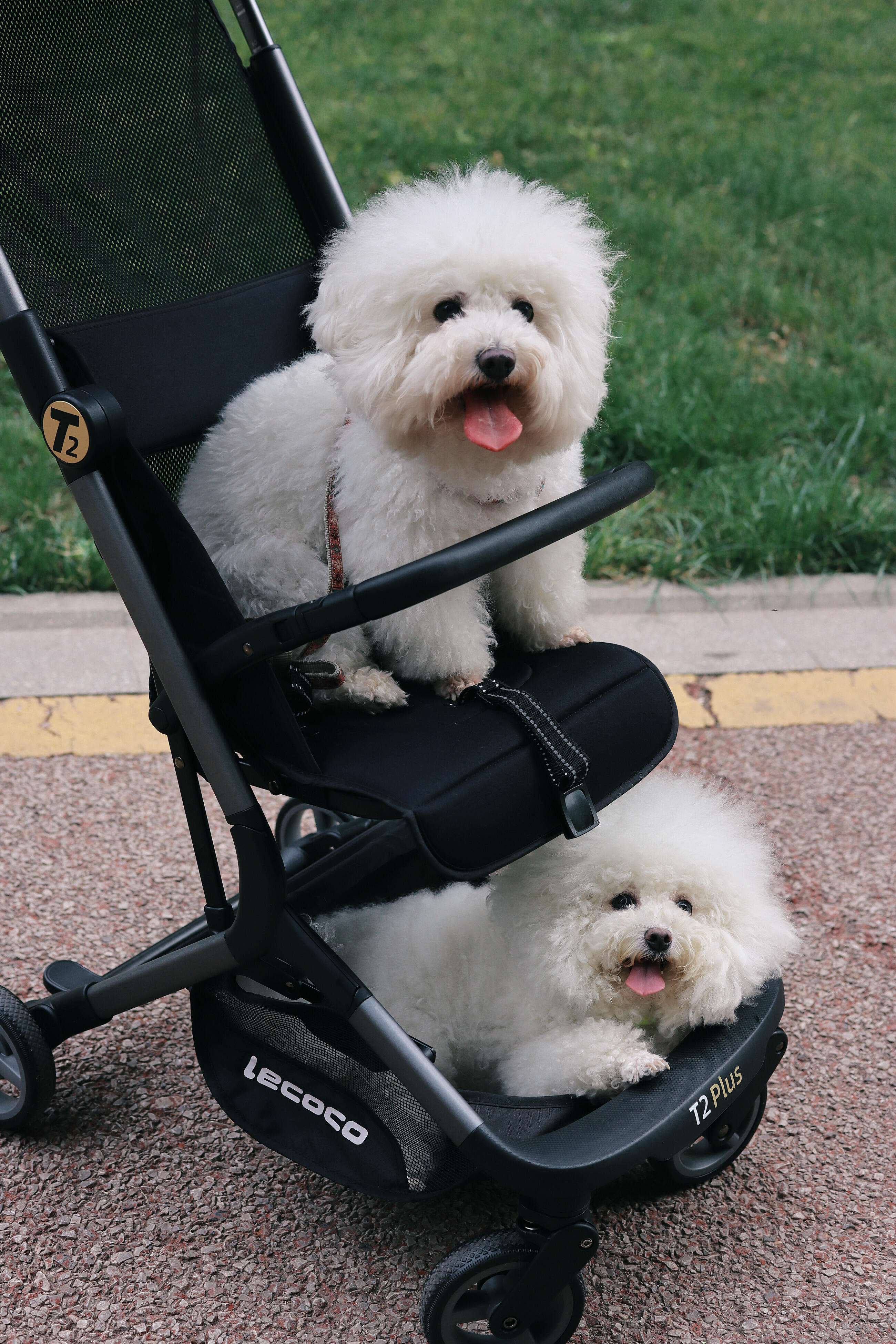 Comprehensive Support Services and Operational Efficiency