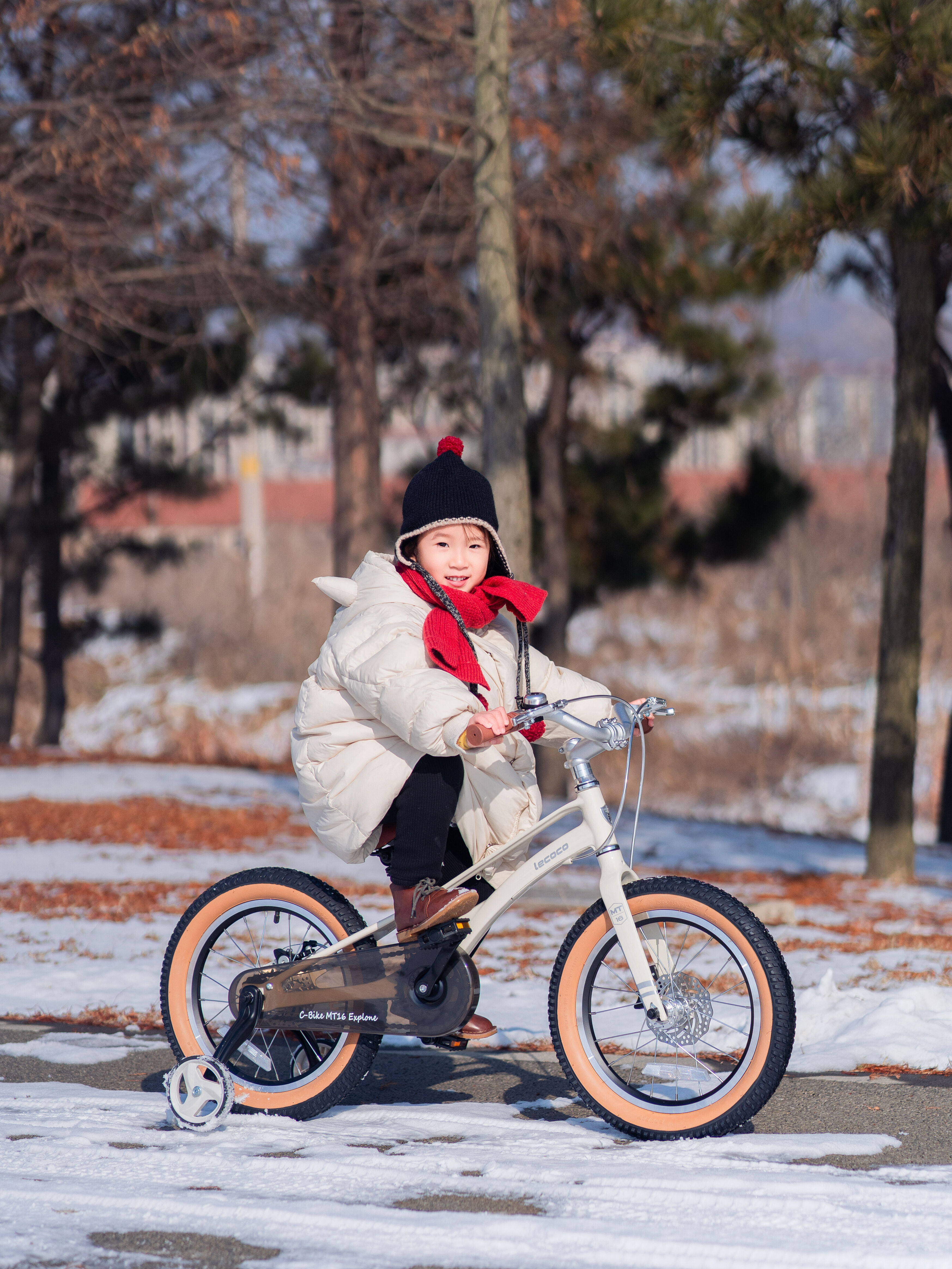 包括的なビジネス支援および市場インテリジェンスサービス