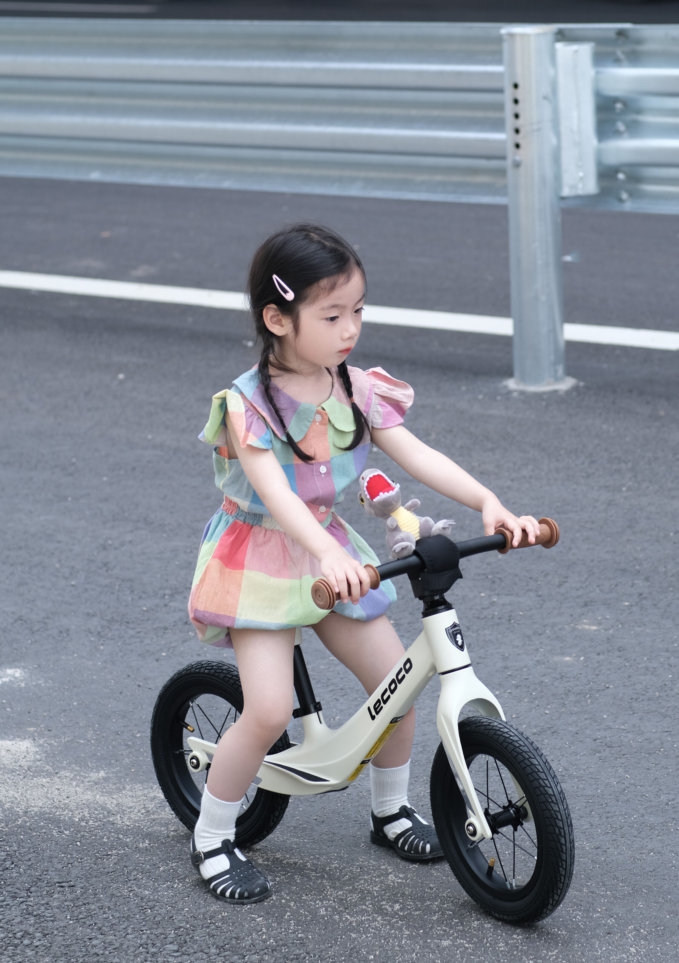 دمج شامل للفوائد التنموية