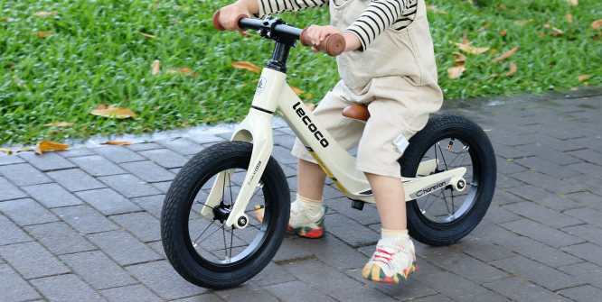 Off-Road Exploration