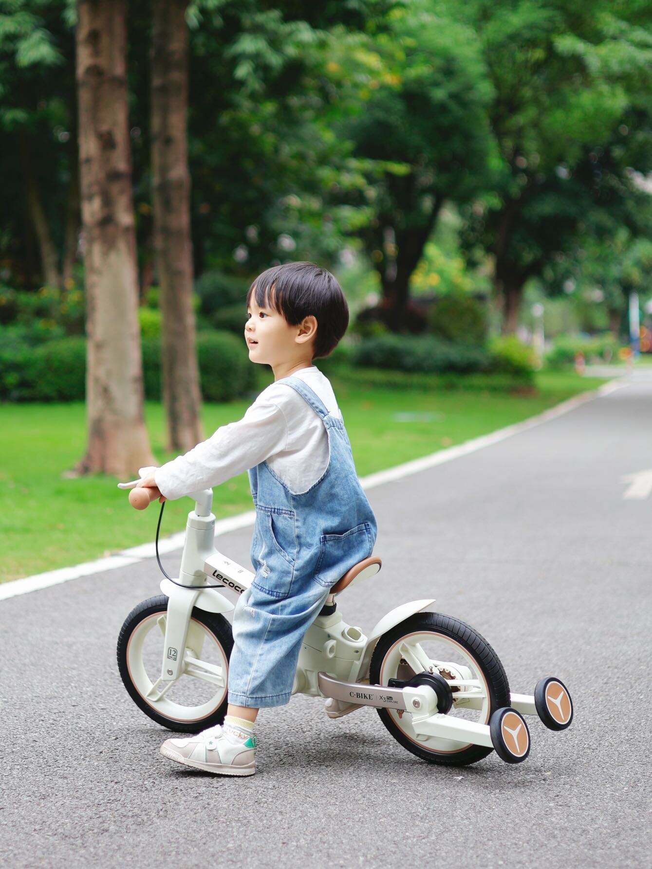 هندسة السلامة والاستقرار المتقدمة