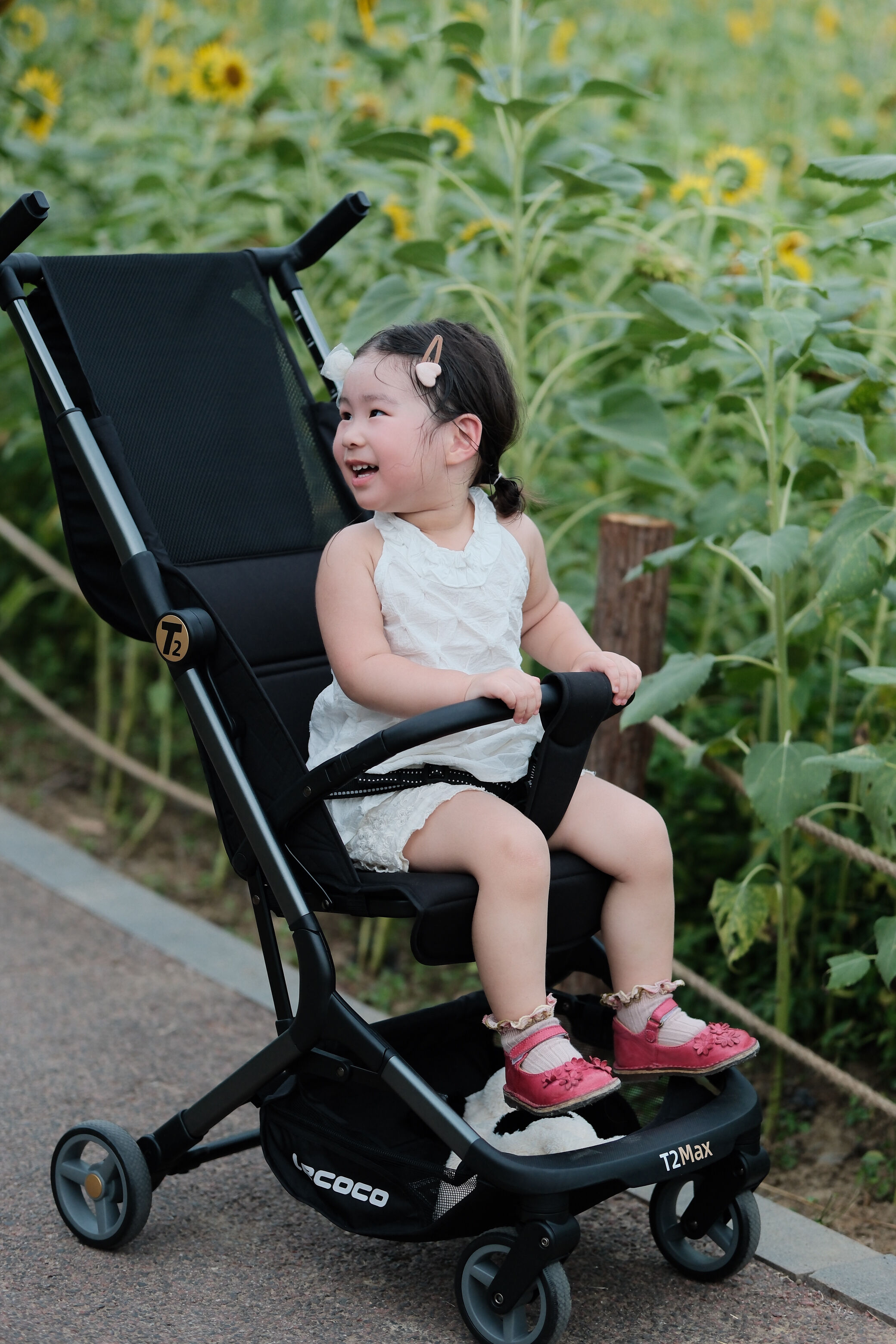 Exceptional Versatility and Adaptability Features