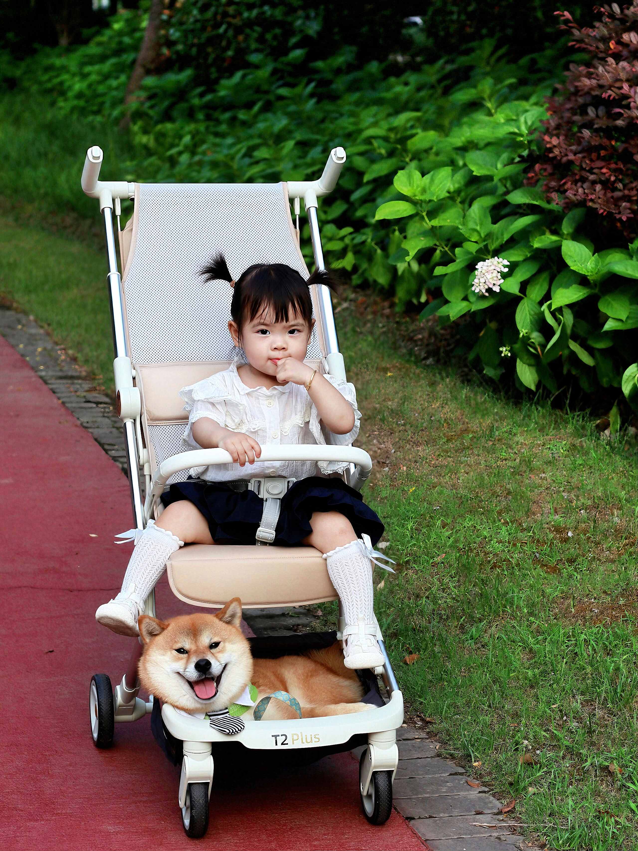 Global Logistics Excellence and Supply Chain Optimization