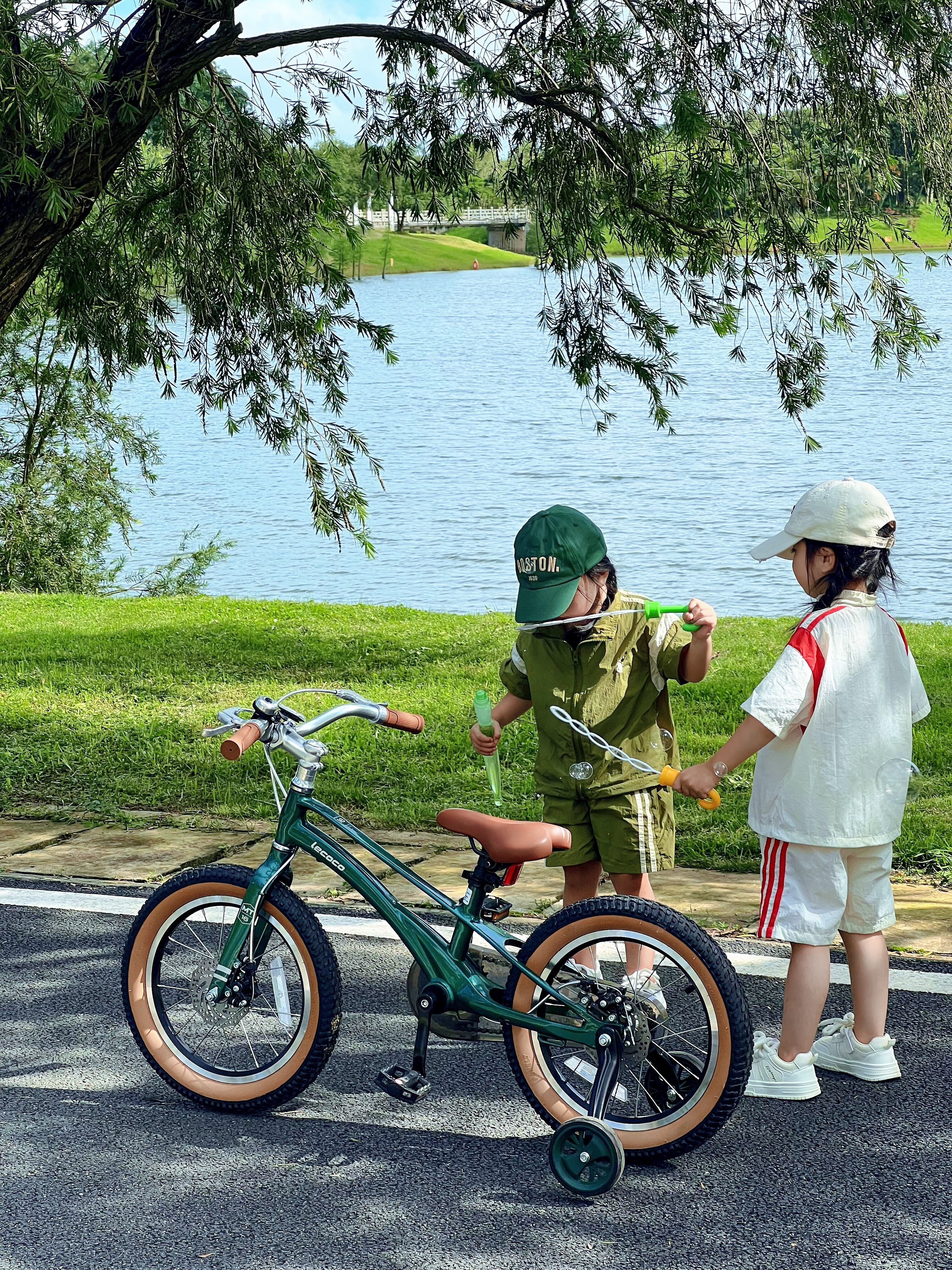 Réseau de distribution et gestion logistique efficaces