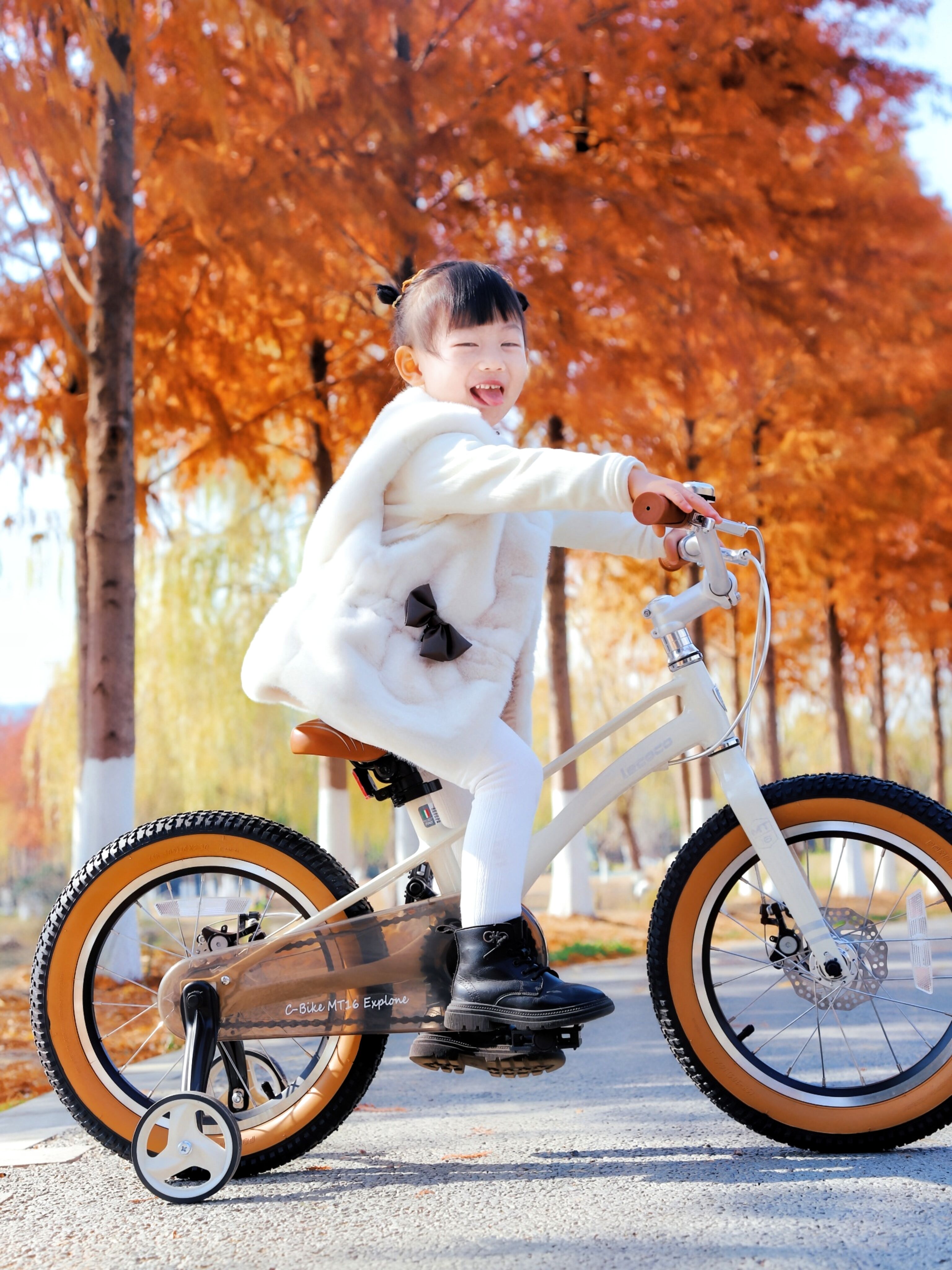 Comprehensive Developmental Benefits Through Innovative Design