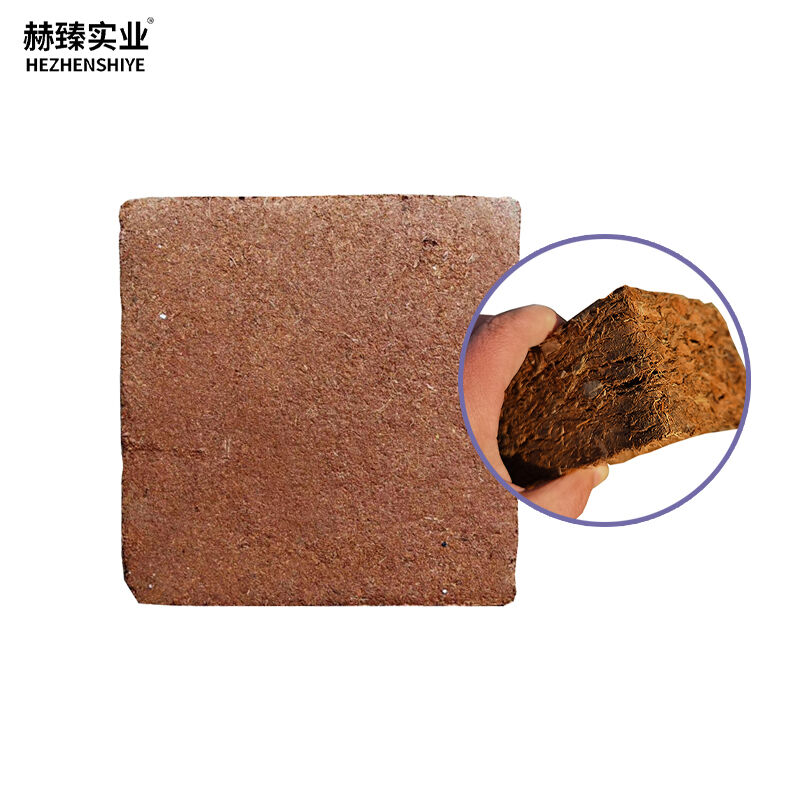 Coco Peat Coir Brick Non-Metallic Mineral Horticultural Compress Block for Plants and Flowers Competitive Price