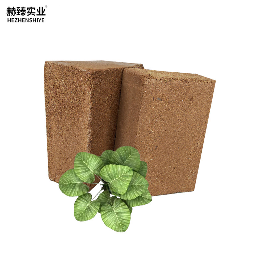 High Expansion Imported Coconut Brick Universal Coco Soil for Planting Seedling Balcony Potted Soilless Culture Medium