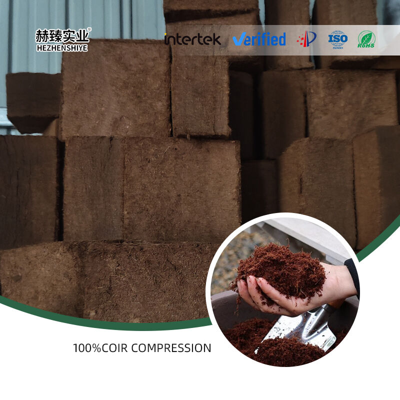 Nutrient Rich Coco Coir Brick for Potted Flower and Ornamental Plant Care