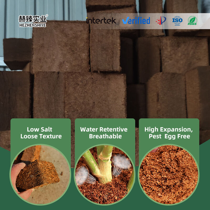Factory Wholesale Low Salt Coco Coir Brick Nutrient Soil for Succulent Orchid Vegetable Compressed Coconut Peat Gardening Substrate