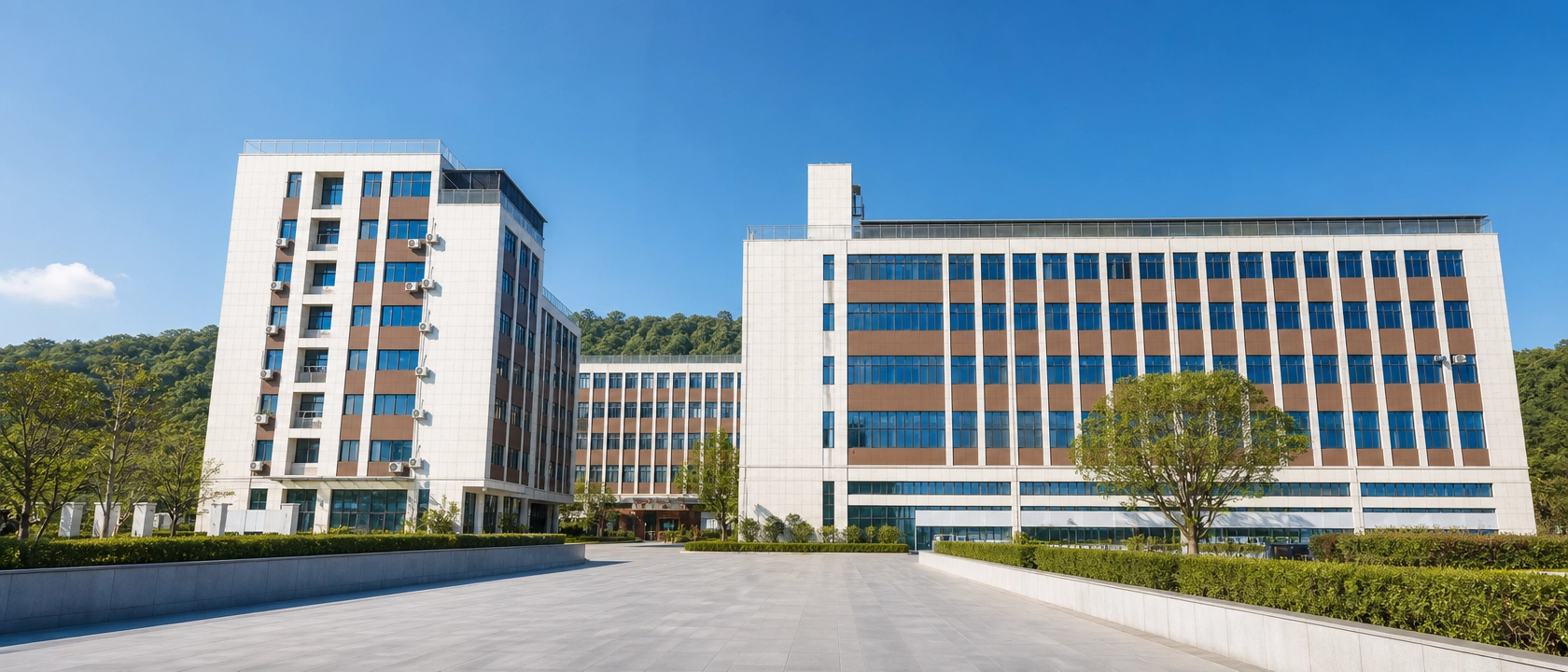 Zhejiang Wenhong New Materials Technology Co., Ltd.