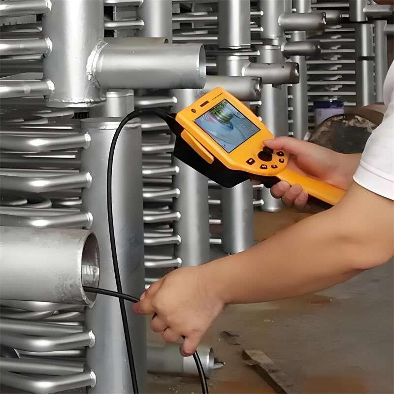 Endoscopic examination