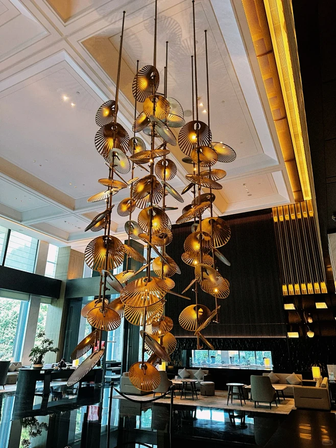Unmatched Quality and Versatility in Hanging Ceiling Lights