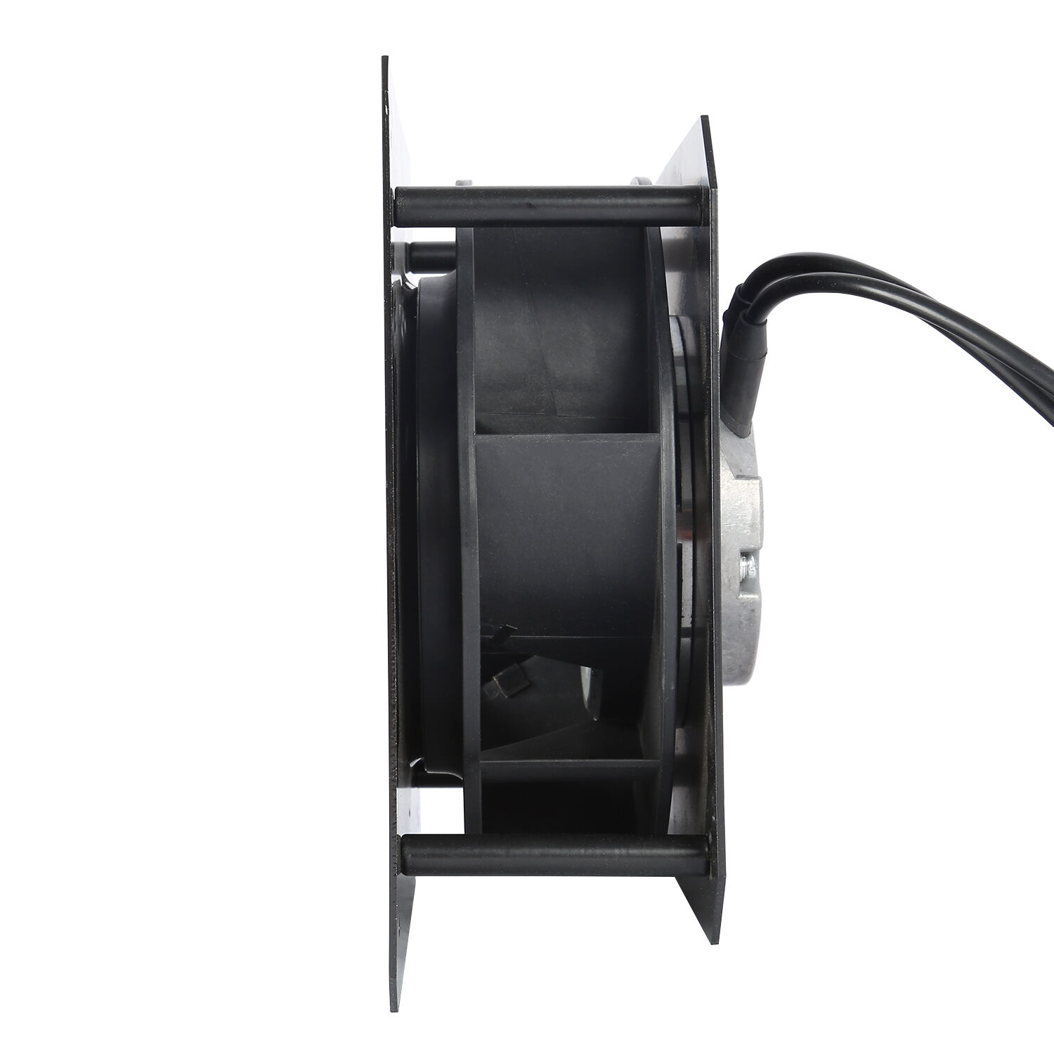 Comprehensive Support and Warranty