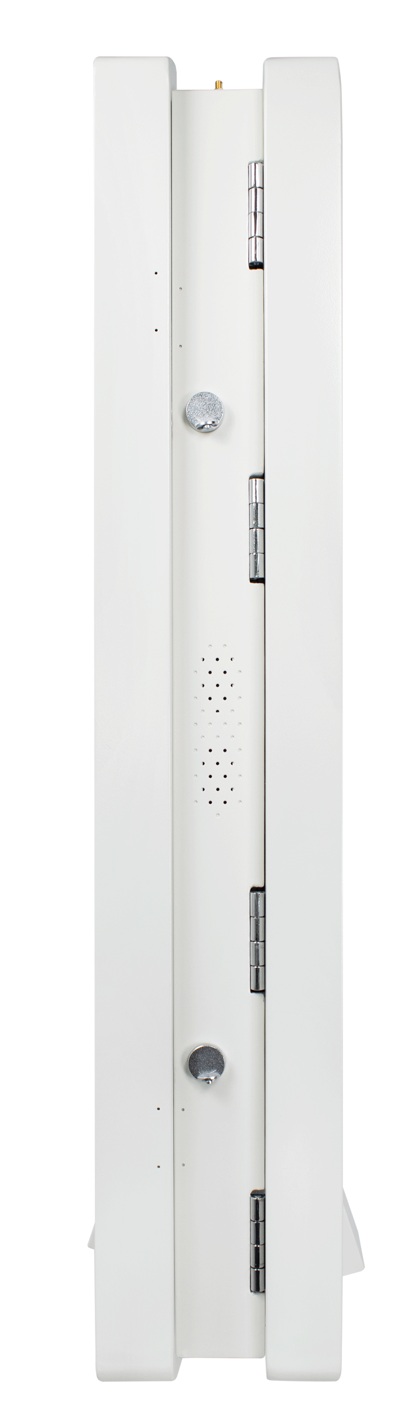 Advanced Technology Integration and Future-Ready Capabilities