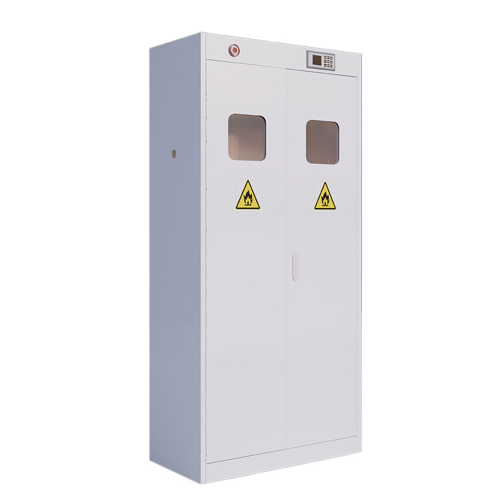 What Are the Key Features of a Durable Gas Cylinder Cabinet?