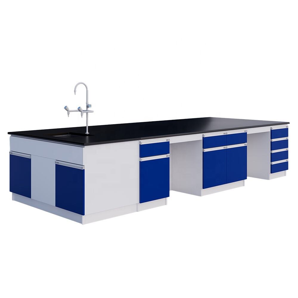 Saan Makakakuha ng Abot-Kayang Lab Benches para sa mga Institusyong Pang-edukasyon