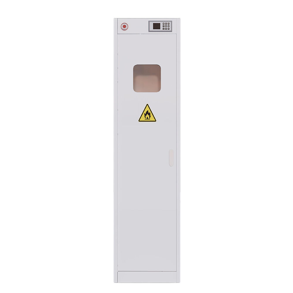 What Makes a Vertical Gas Cylinder Cabinet Essential for Safety?
