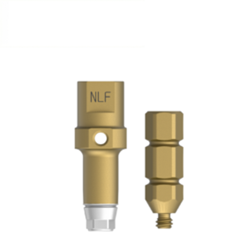 Dentis-Implantatkomponenten, Mehreinheiten-Geradabutment, Zylinder/Prothetikschraube, Titan-Abutment, OEM, Originaldaten
