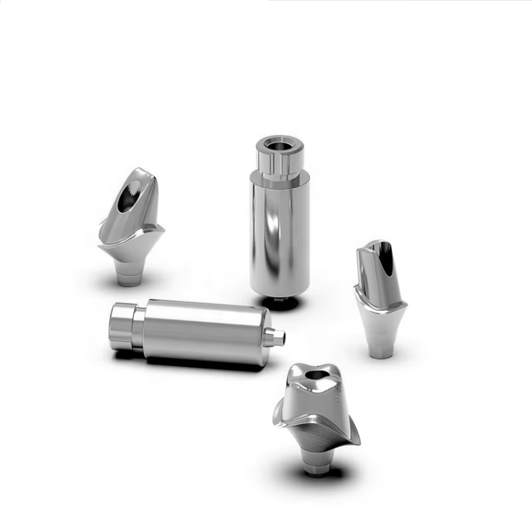 Accessoria dentalia: barra abutmenti praefabricata, abutmentum implantare, consumabilia dentalia Dentis, personalizatio, data originalia, OEM