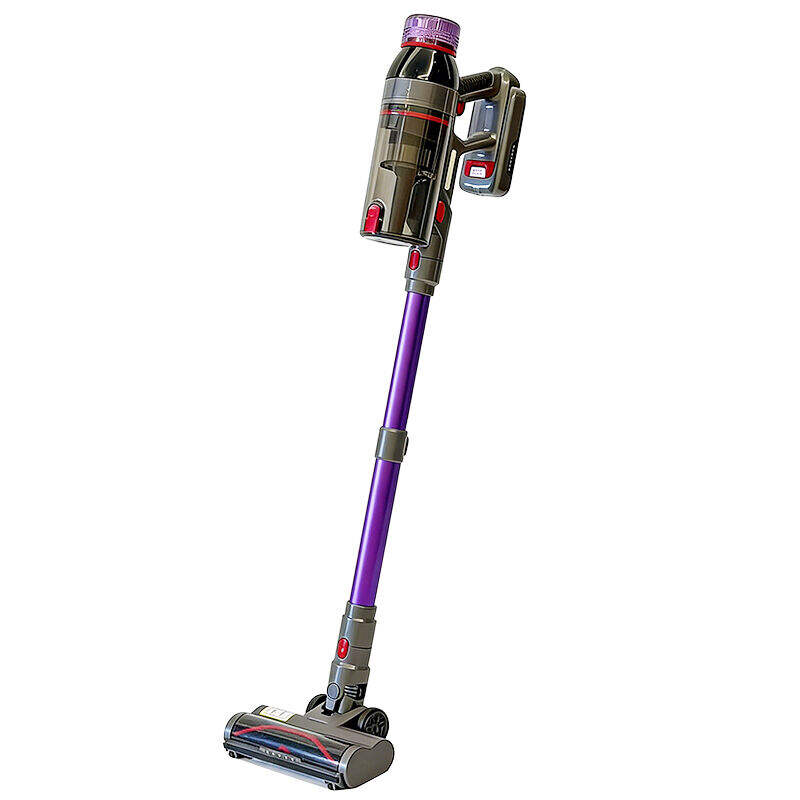 Quel aspirateur domestique est le meilleur pour éliminer les poils d'animaux ?