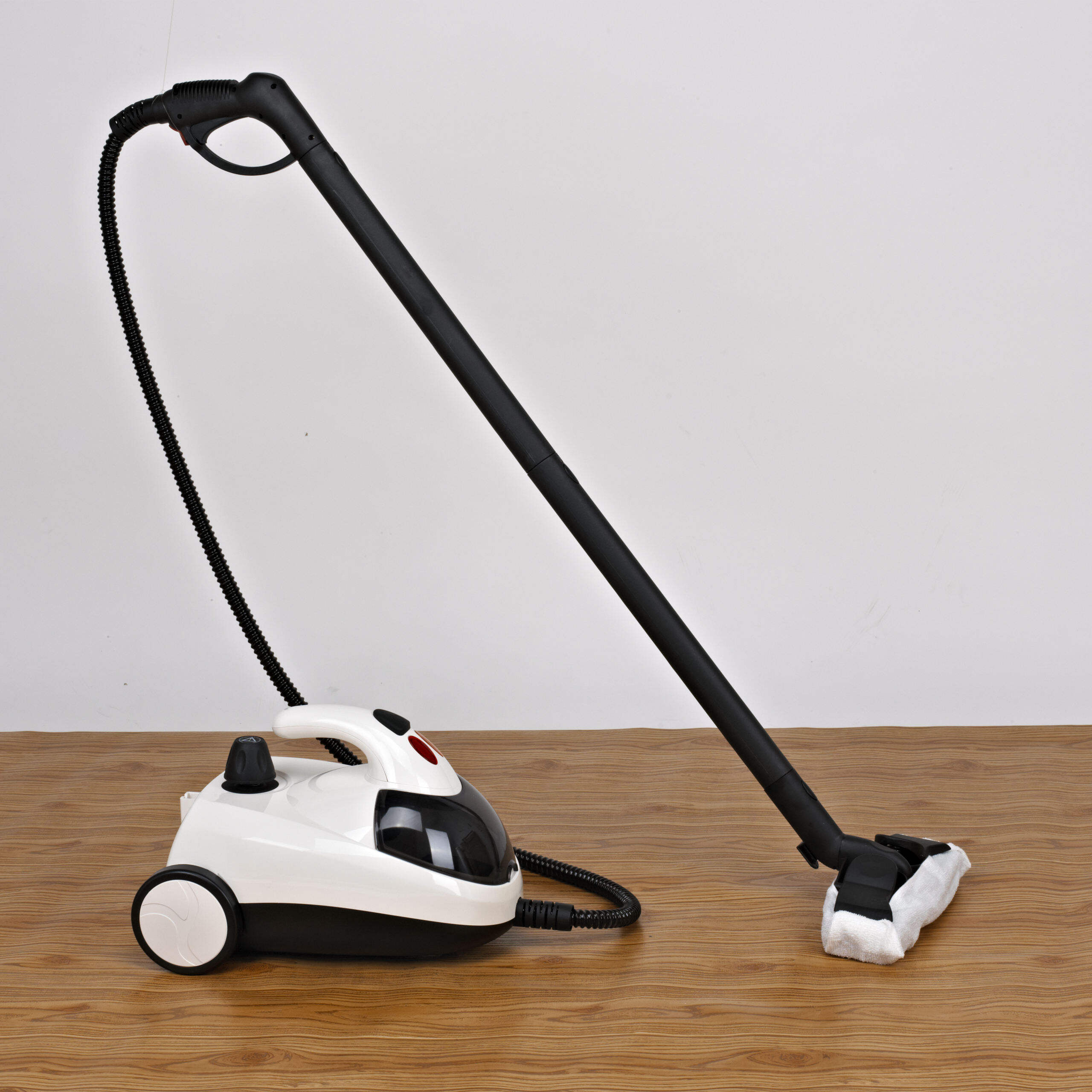 Steam Cleaner GT538 (3).jpg
