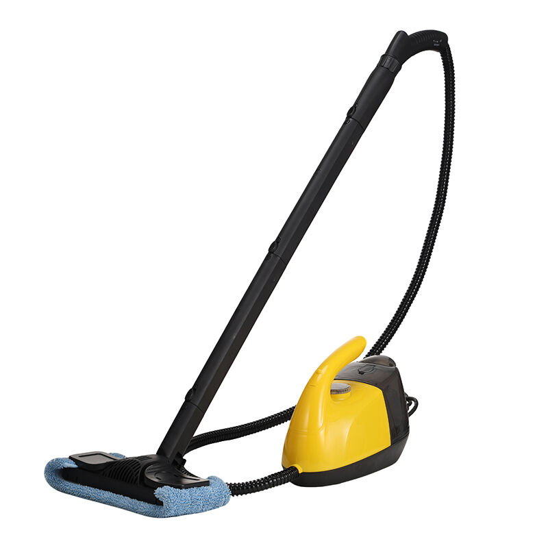 DF-968 Steam Cleaner