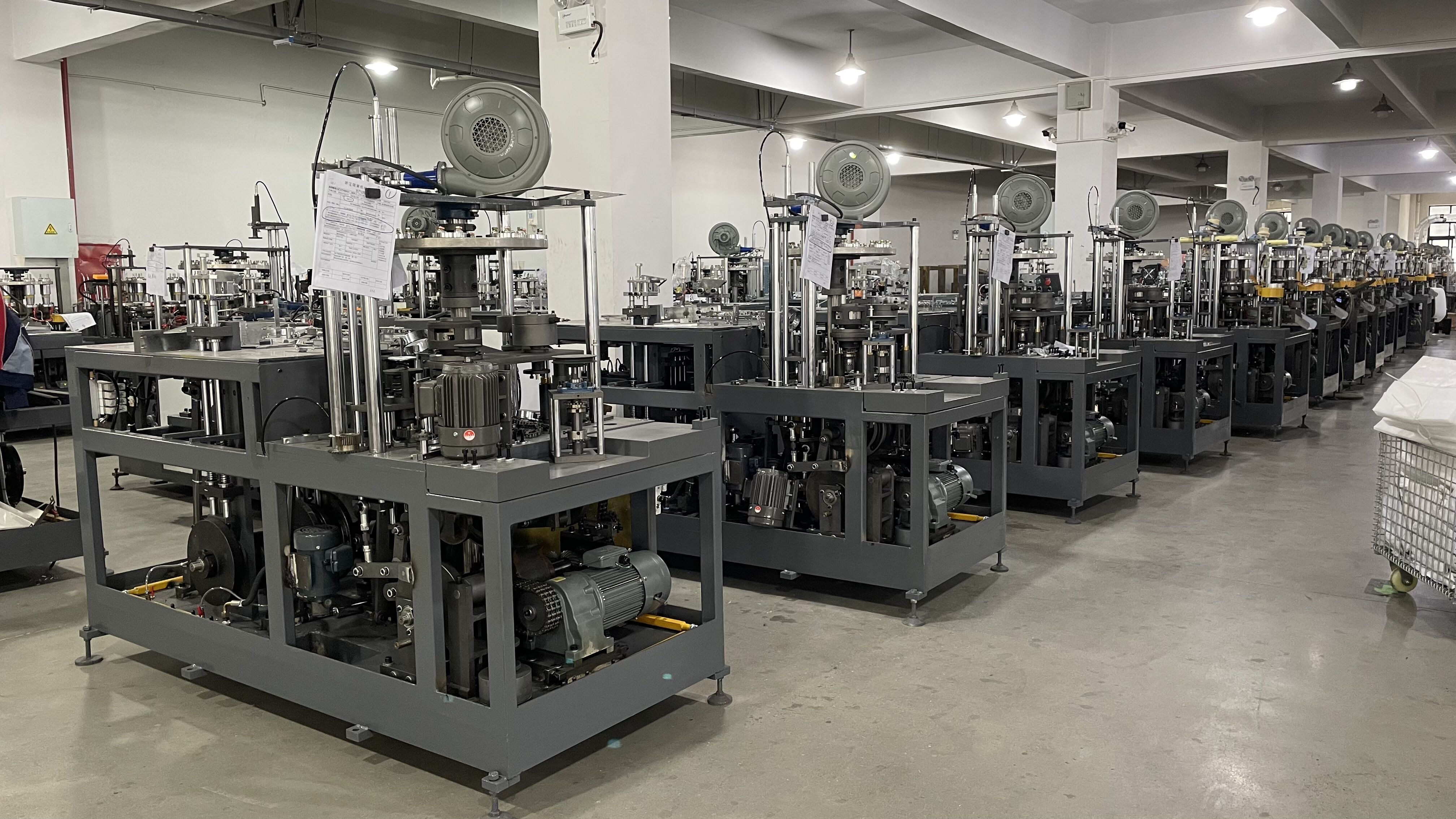 Enhanced Product Protection and Shelf Life Extension